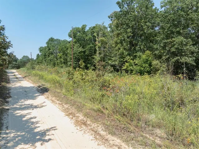 a view of a yard with a tree