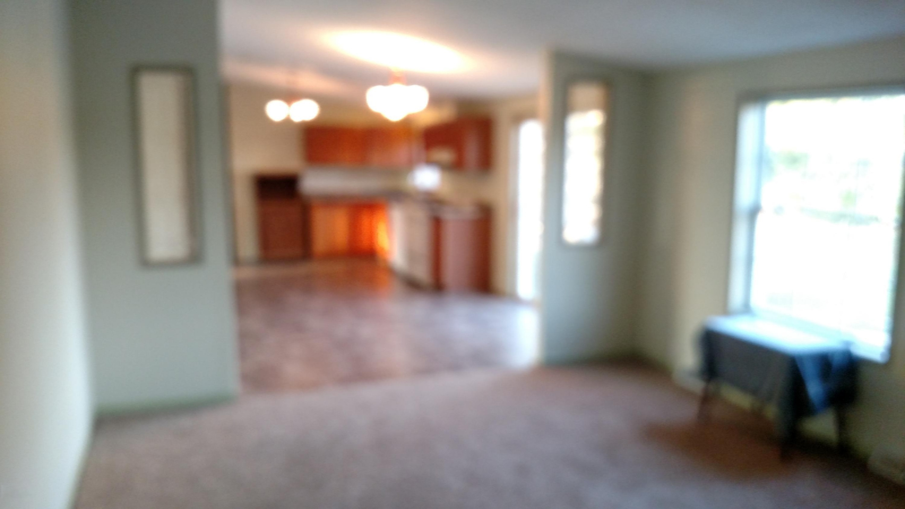4774 Stedman Road Ionia, MI 48846 - Photo 30 of 35 IMG_20170926_184733665