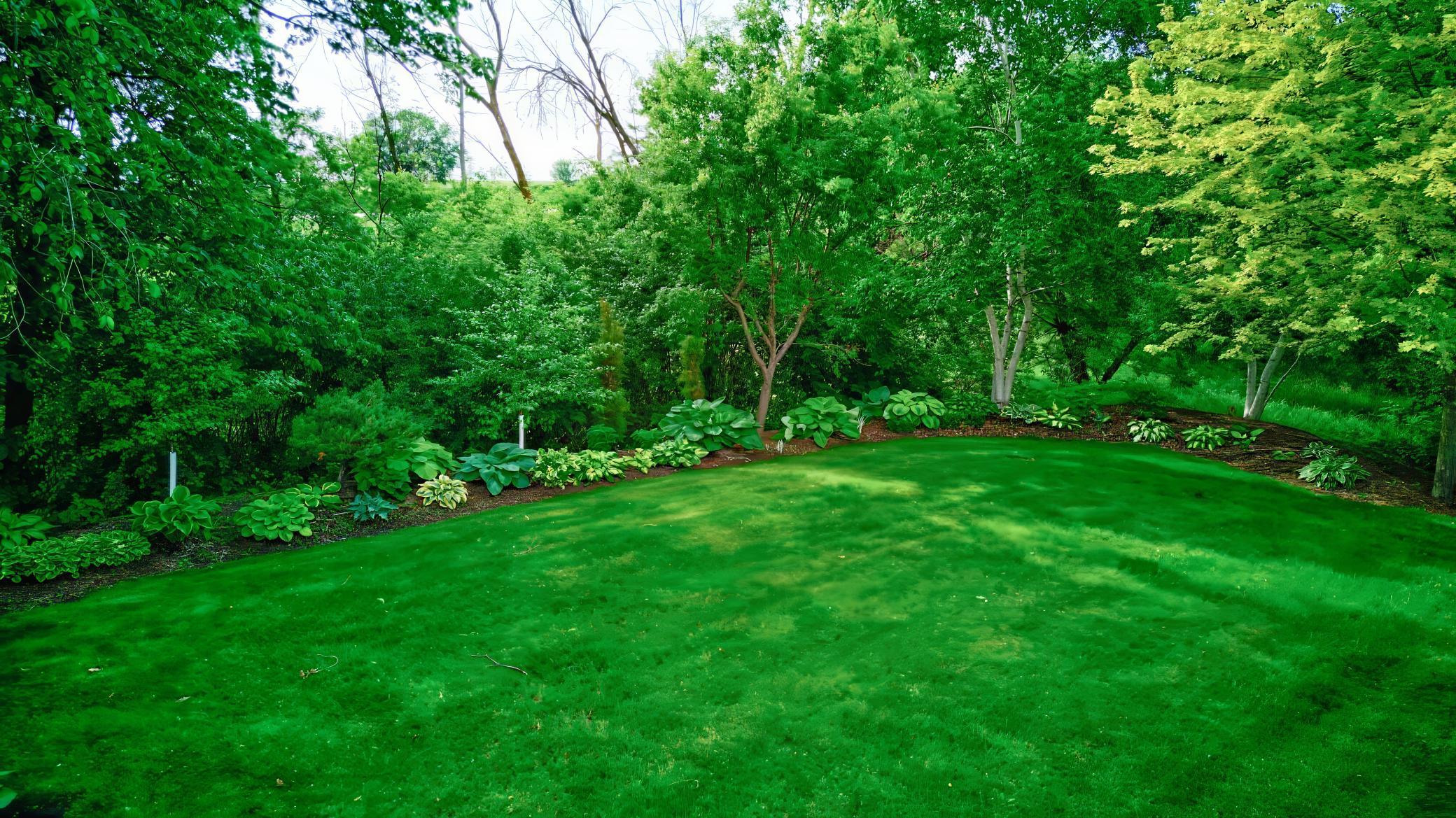 19319 380th Street Erhard, MN 56534 - Photo 54 of 77