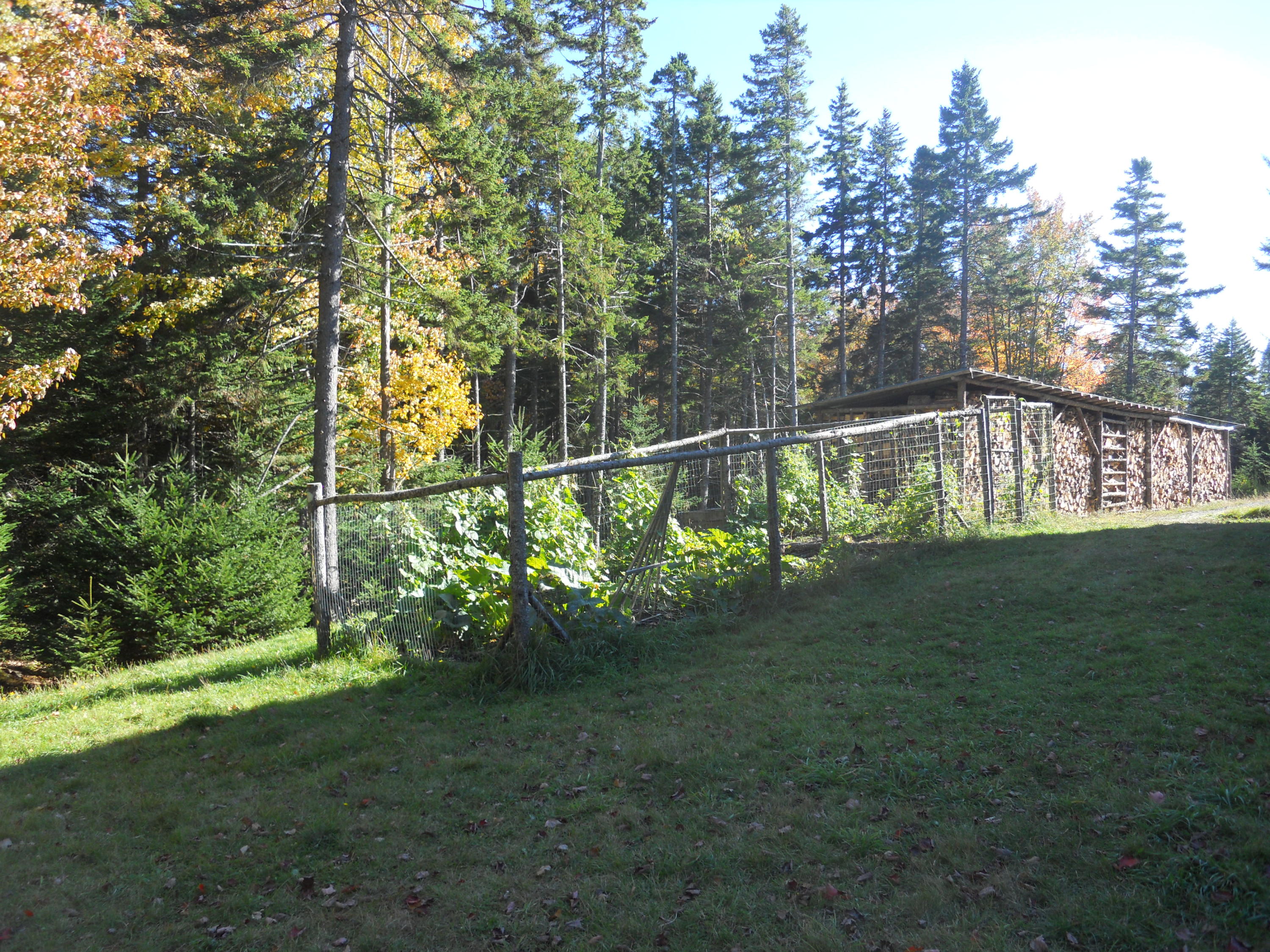 130 Bass Harbor Woods Road Bass Harbor, ME 04653 - Photo 33 of 41 Garden