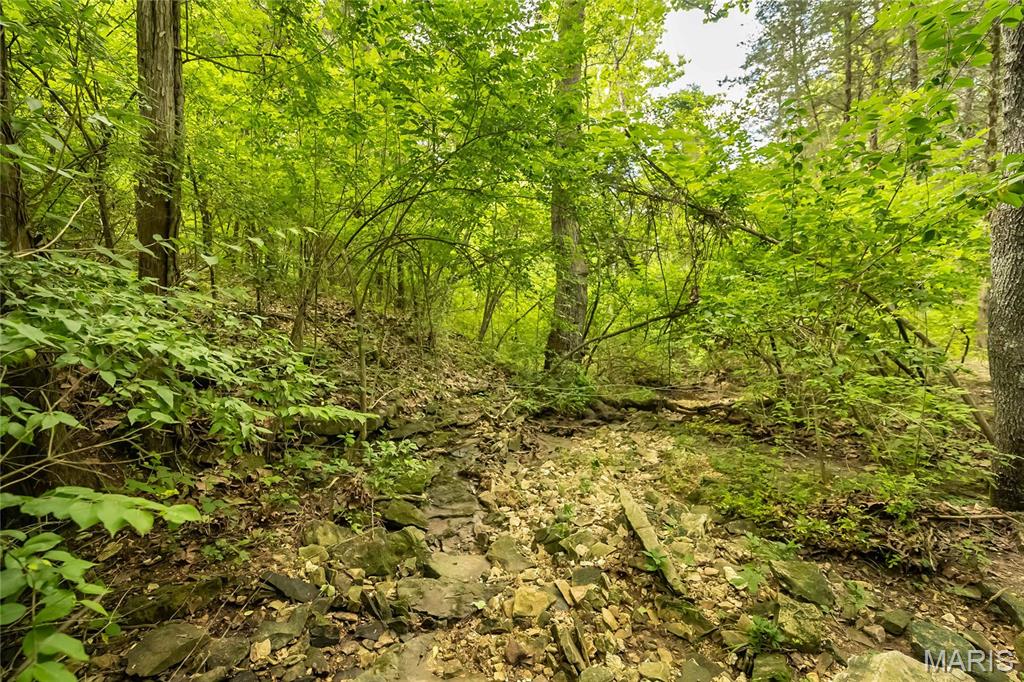 0 Watson Road Festus, MO 63028 - Photo 8 of 17