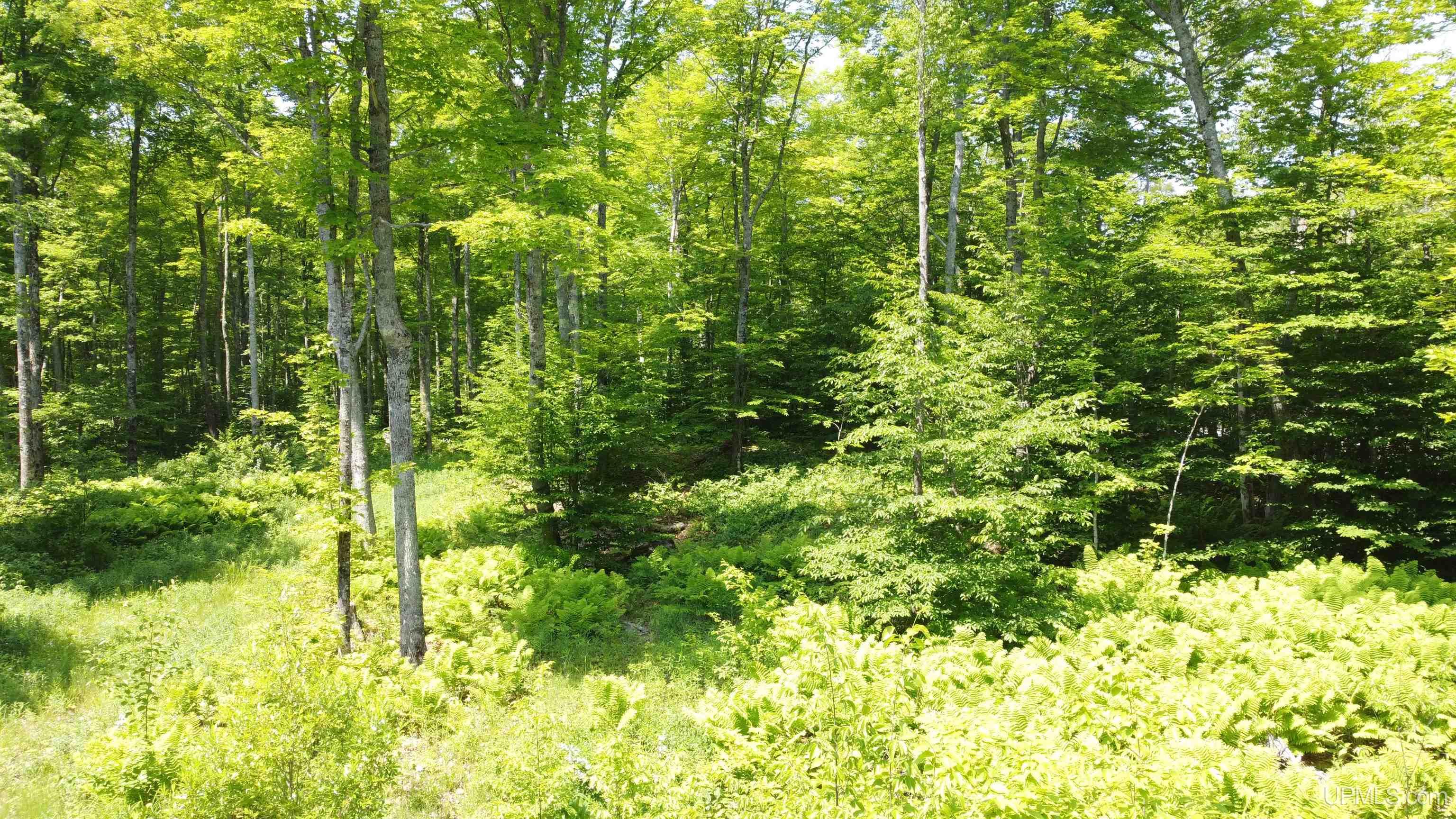 On East Shingleton Road Shingleton, MI 49884 - Photo 20 of 32