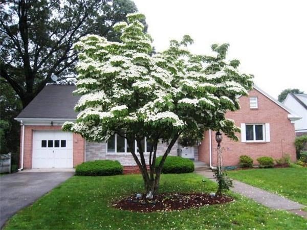27 Hampden Road Framingham, MA 01702 - Photo 1 of 8 a front view of a house with garden