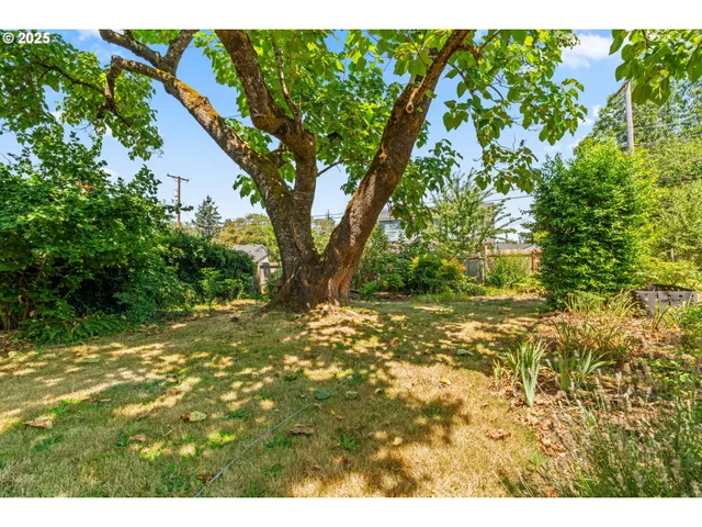 a view of yard with trees