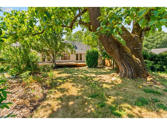 a view of outdoor space and yard