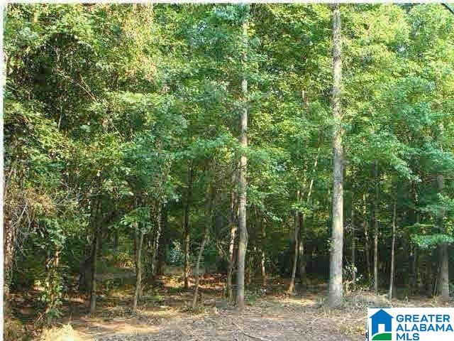 1921 Warrior Trafford Road, Unit 3 69 ACRES / Warrior, AL 35180 - Photo 1 of 1