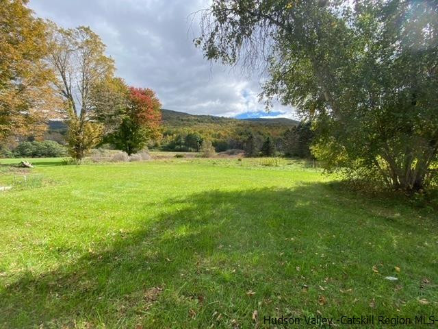 1530 Roxbury-Stratton Falls Road, Unit AKA COUNTY ROUTE 41 Roxbury, NY 12474 - Photo 18 of 18 Photo 19