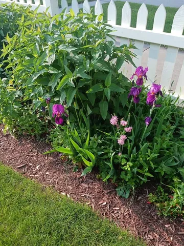 $375,000 | 1022 Wisconsin Avenue, Sheboygan, WI 53081