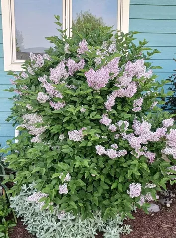 $375,000 | 1022 Wisconsin Avenue, Sheboygan, WI 53081