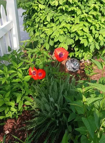 $375,000 | 1022 Wisconsin Avenue, Sheboygan, WI 53081