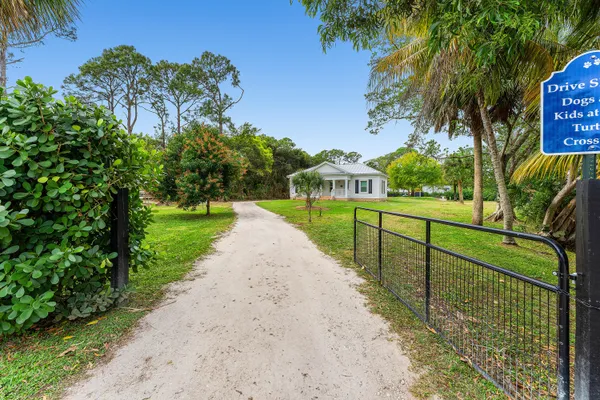 a view of a park with palm trees