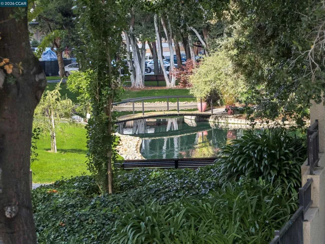 a view of a swimming pool with a yard