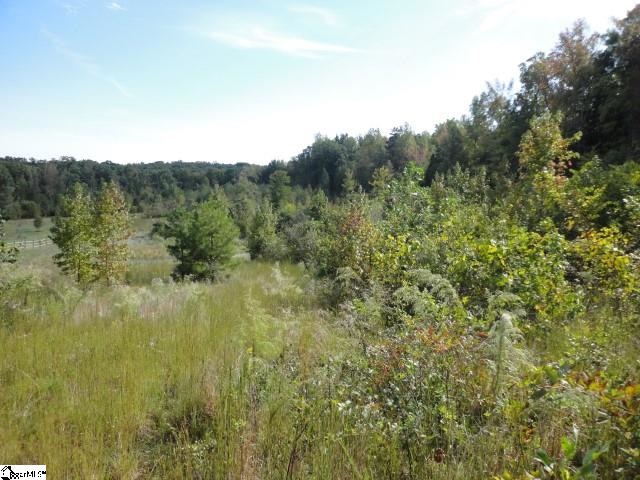Johnson Road Laurens, SC 29360 - Photo 3 of 7