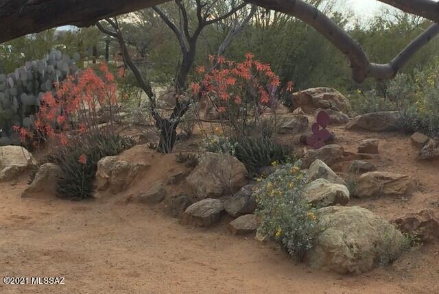 4330 South Draper Road Tucson, AZ 85735 - Photo 22 of 24