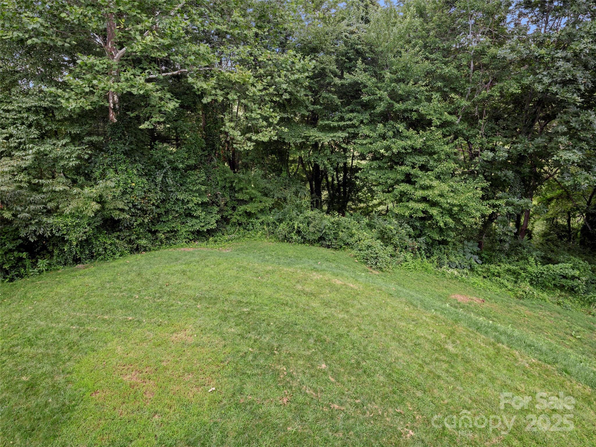 269 Adams Drive Clyde, NC 28721 - Photo 28 of 32 a view of a yard with a tree