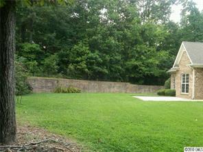 3004 Duck Point Drive Monroe, NC 28110 - Photo 11 of 15 a view of a backyard