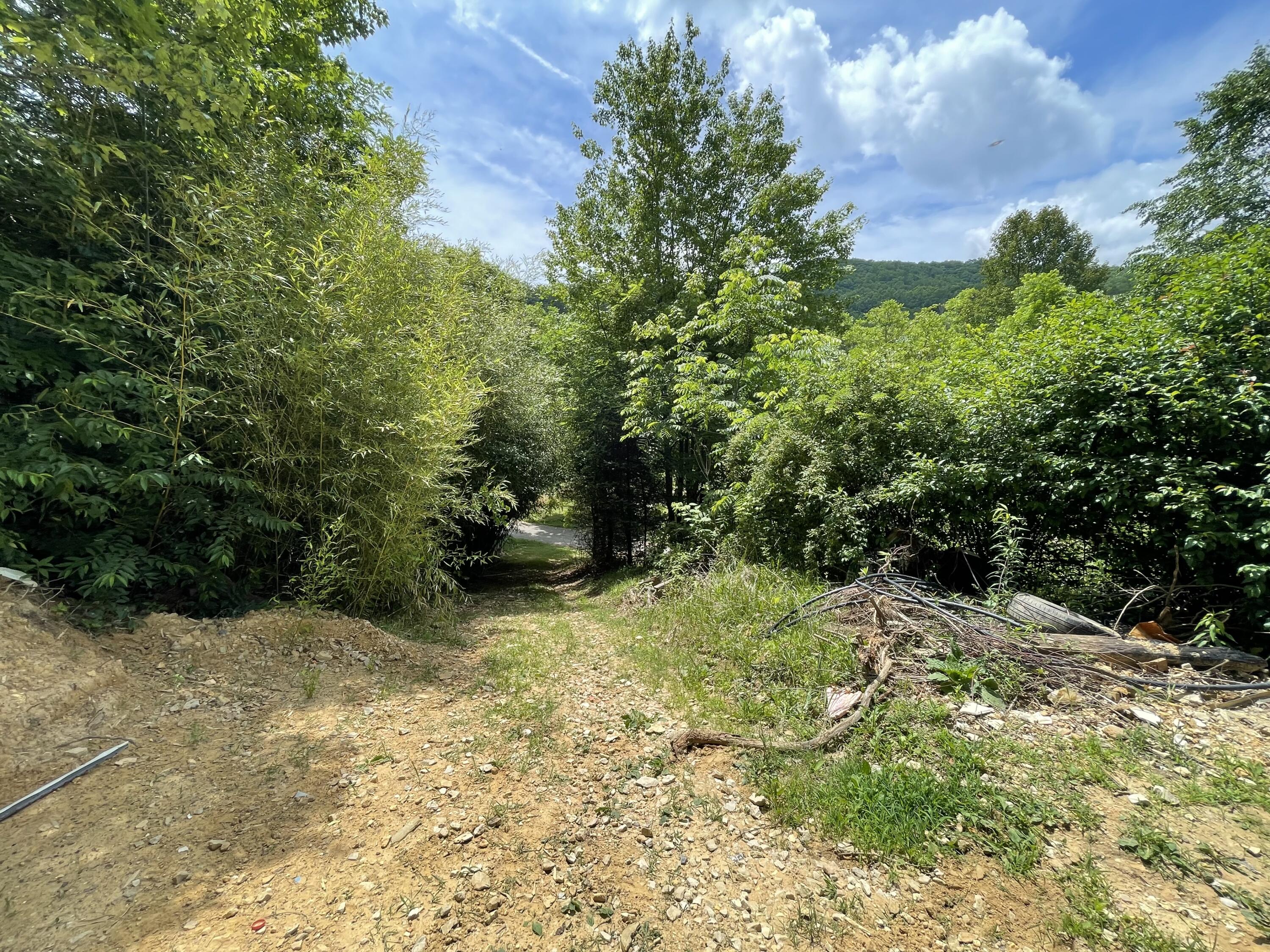 355 Grindstaff Road Butler, TN 37640 - Photo 66 of 83 IMG_4668