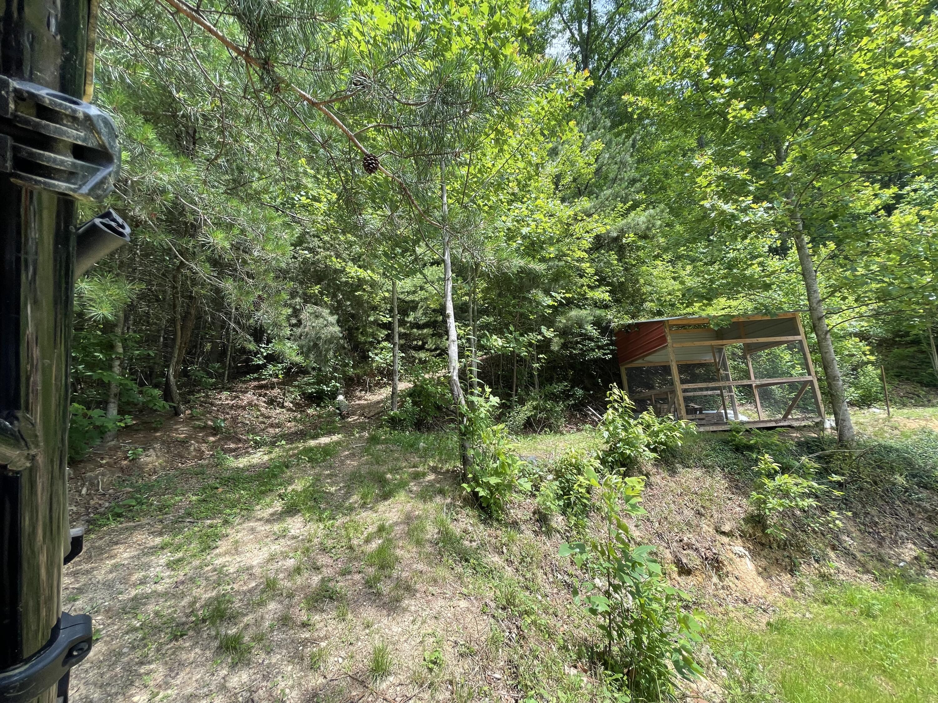 355 Grindstaff Road Butler, TN 37640 - Photo 71 of 83 IMG_4681