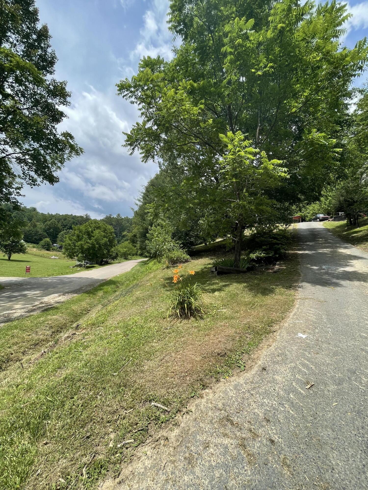 355 Grindstaff Road Butler, TN 37640 - Photo 82 of 83 IMG_4693
