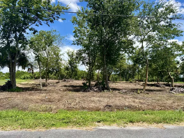 $33,000 | Lot 16 Foxmoor Street, Moore Haven, FL 33471