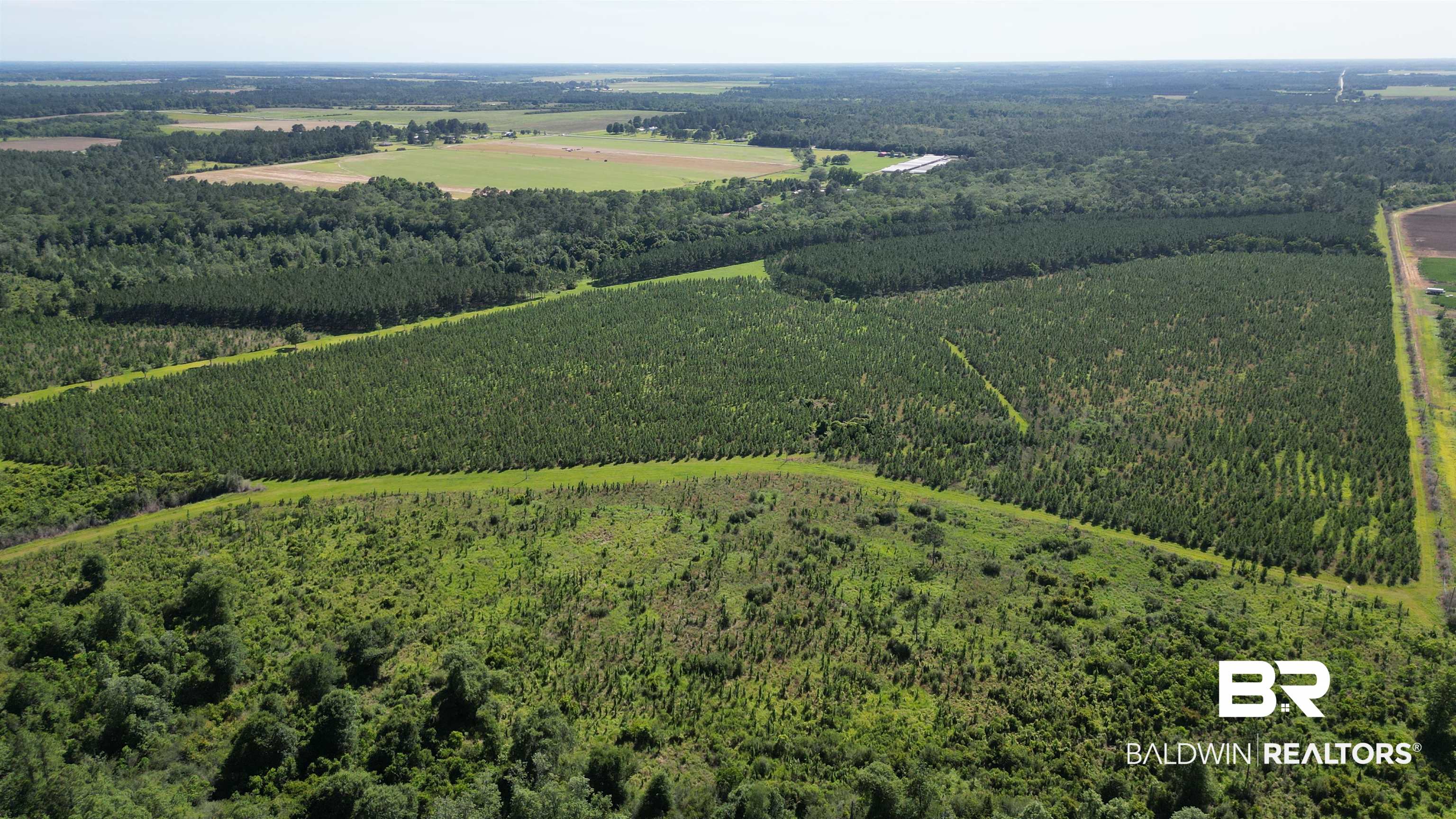 0 County Road 87 Elberta, AL 36530 - Photo 1 of 46