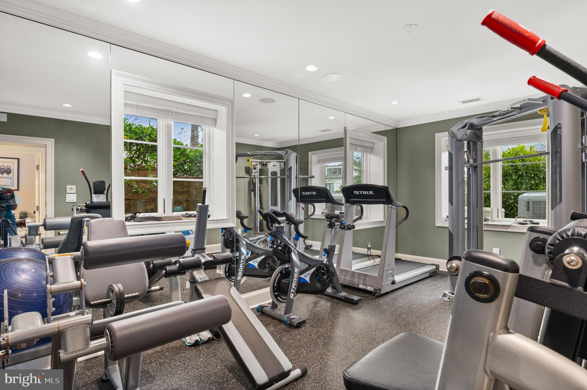 2113 Dunmore Lane Washington, DC 20007 - Photo 28 of 32 Exercise Room