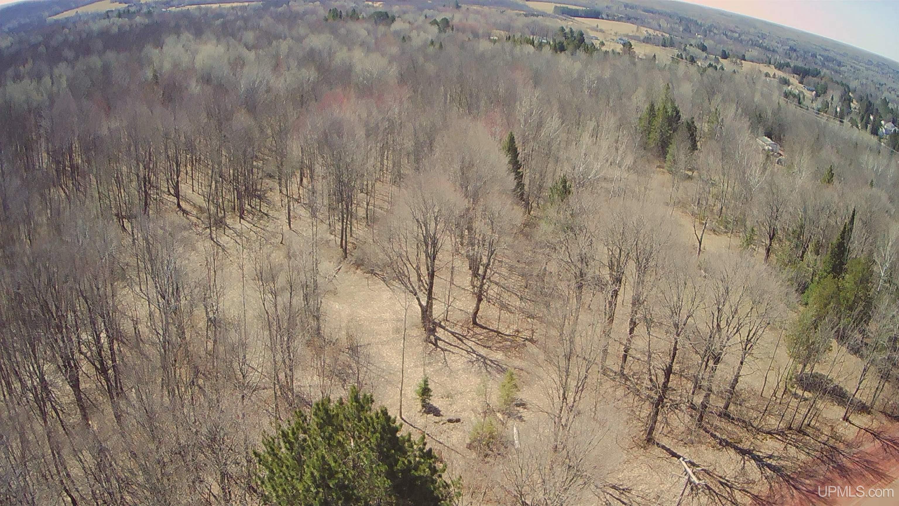 Tbd Tbd Burma Parcel A Road Bessemer, MI 49911 - Photo 6 of 8