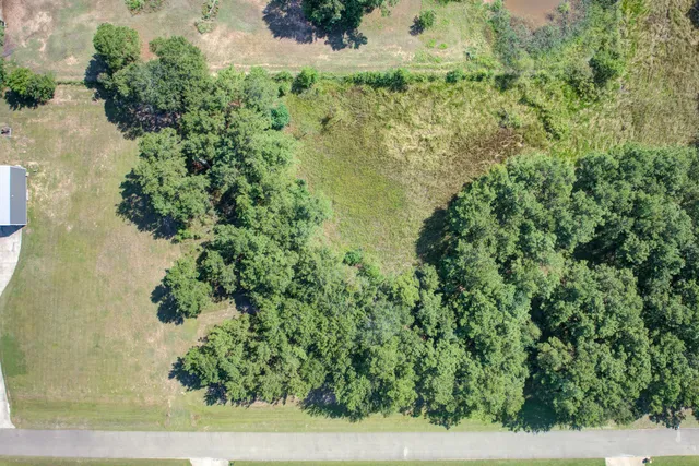 $1,000,000 | 9182 Royal Forest Lane, Waller, TX 77484