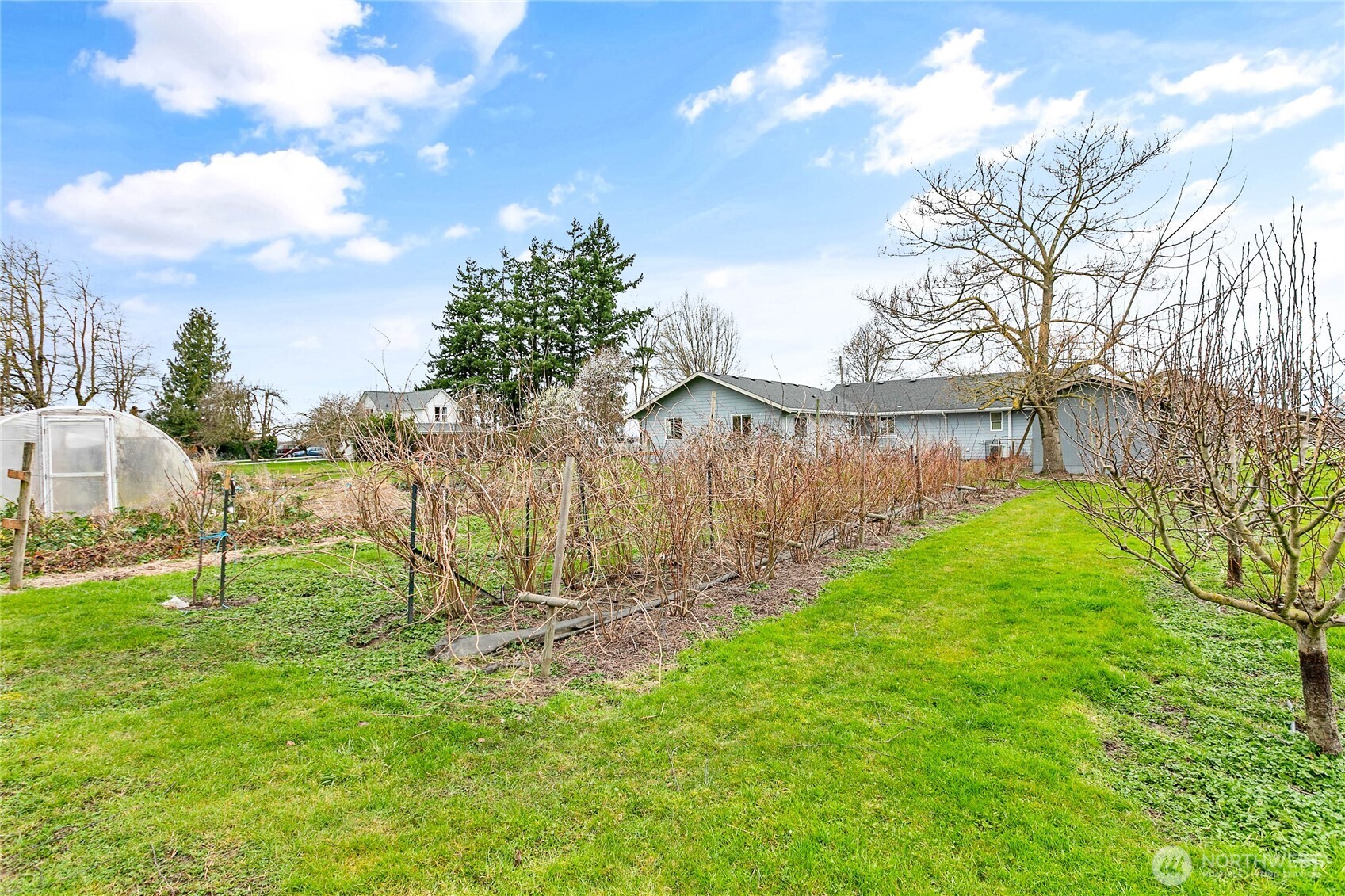 303 Hayes Street Nooksack, WA 98276 - Photo 34 of 40 a view of a backyard with a garden