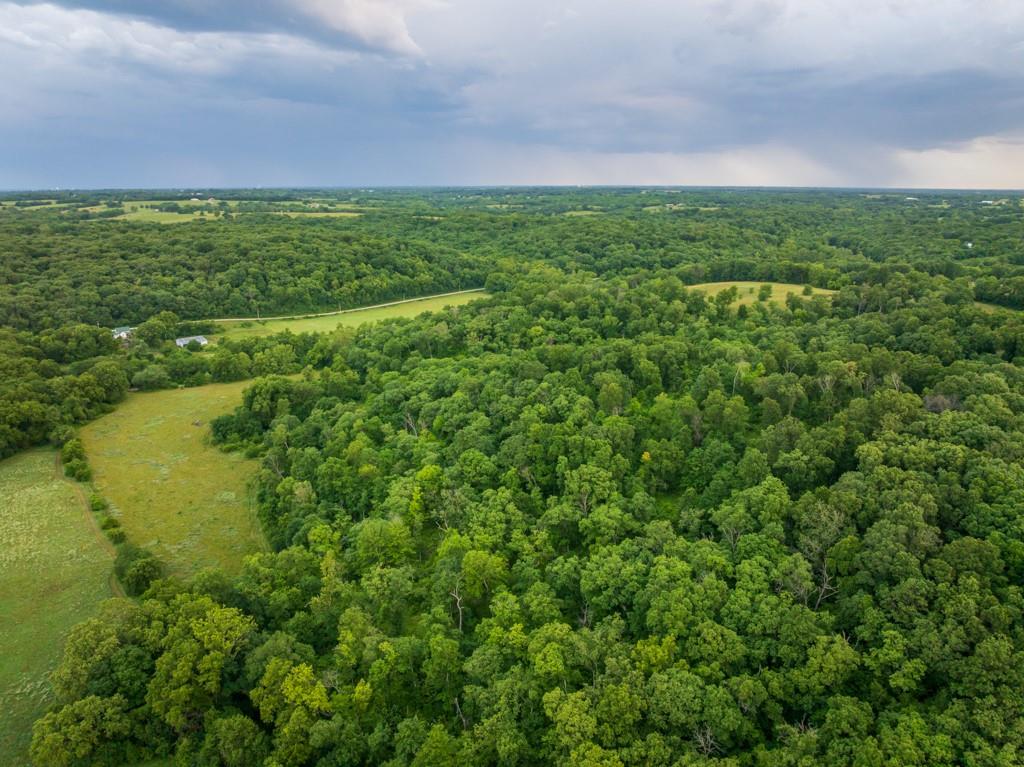13277 Norris Road Rayville, MO 64084 - Photo 17 of 55
