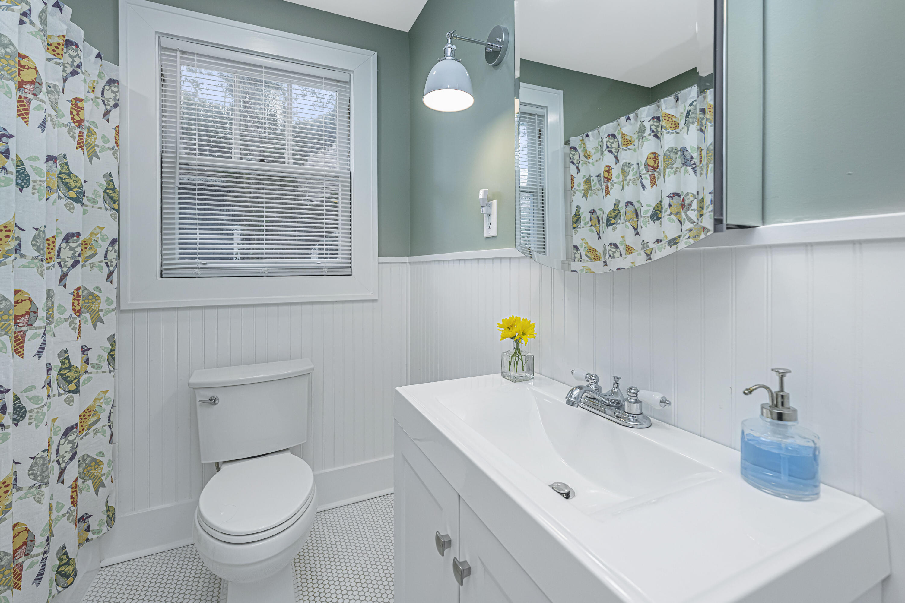 224 Magnolia Road Charleston, SC 29407 - Photo 24 of 38 224MagnoliaRd19