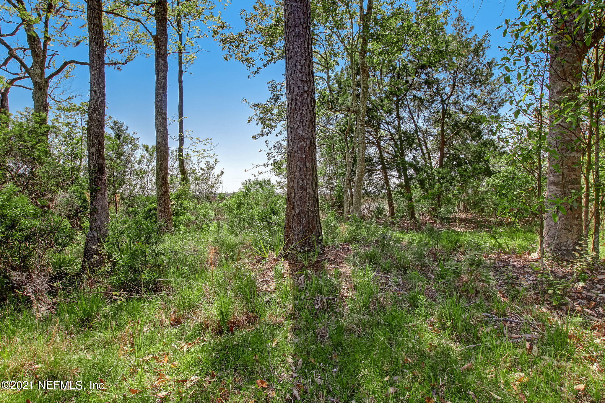 85105 Claxton Road Yulee, FL 32097 - Photo 32 of 39 46-web-or-mls-85105 Claxton Rd-49