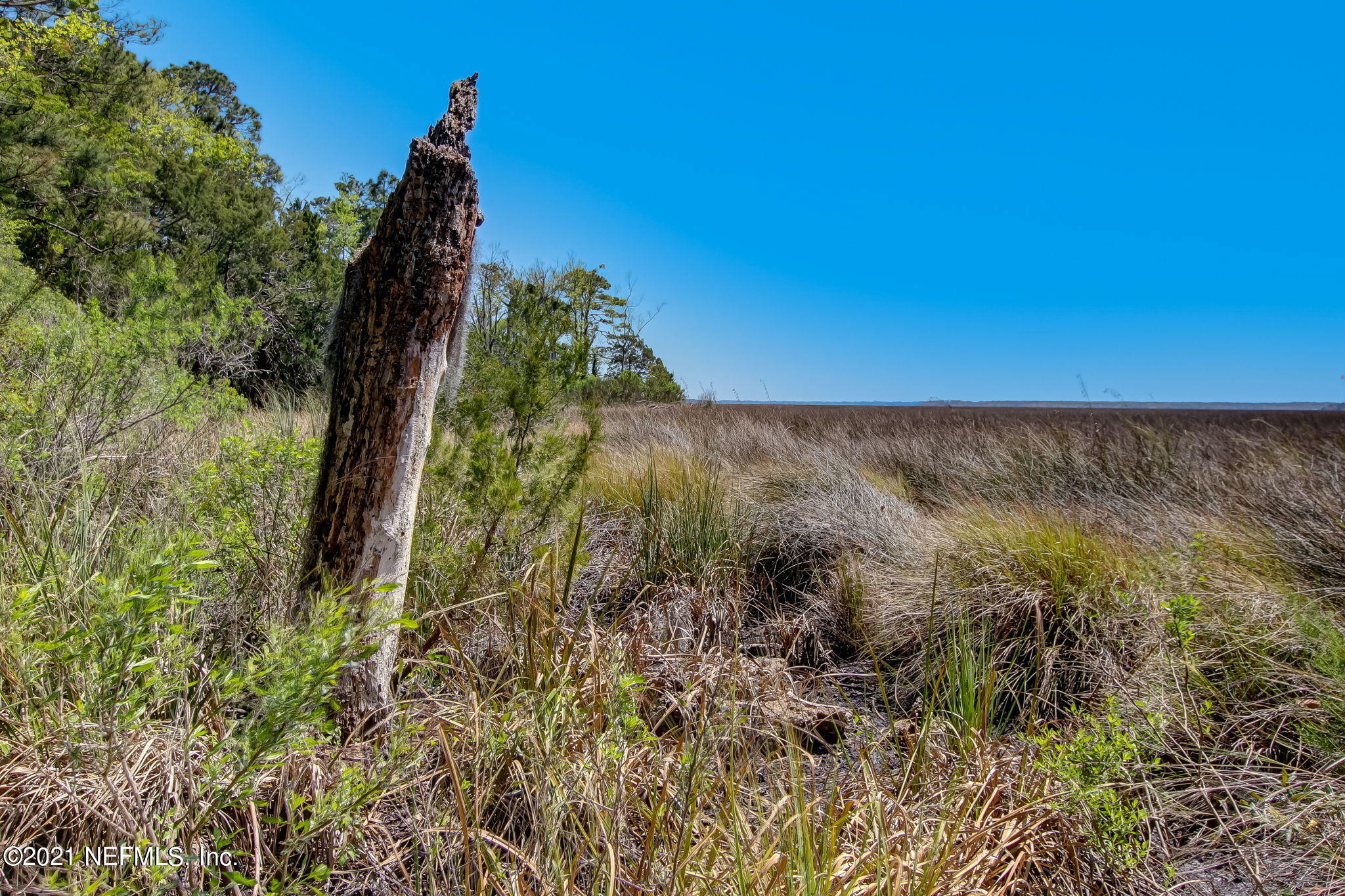85105 Claxton Road Yulee, FL 32097 - Photo 35 of 39 49-web-or-mls-85105 Claxton Rd-52