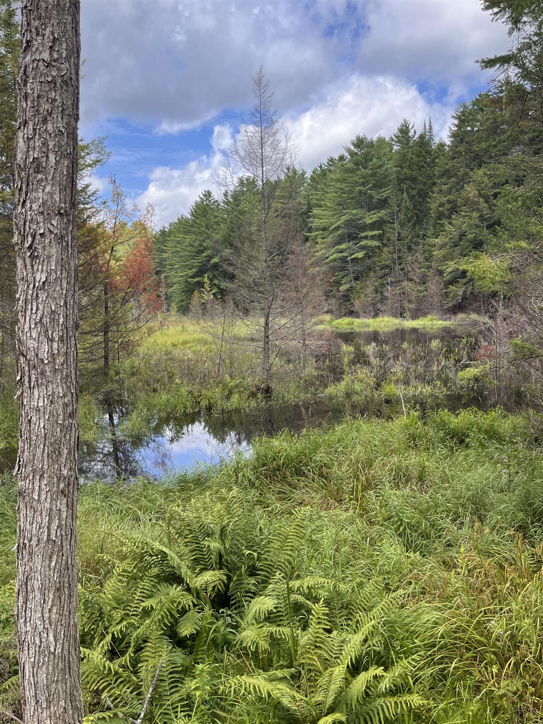 010 Underwood Road South Acworth, NH 03607 - Photo 7 of 10 Gallery Image 7