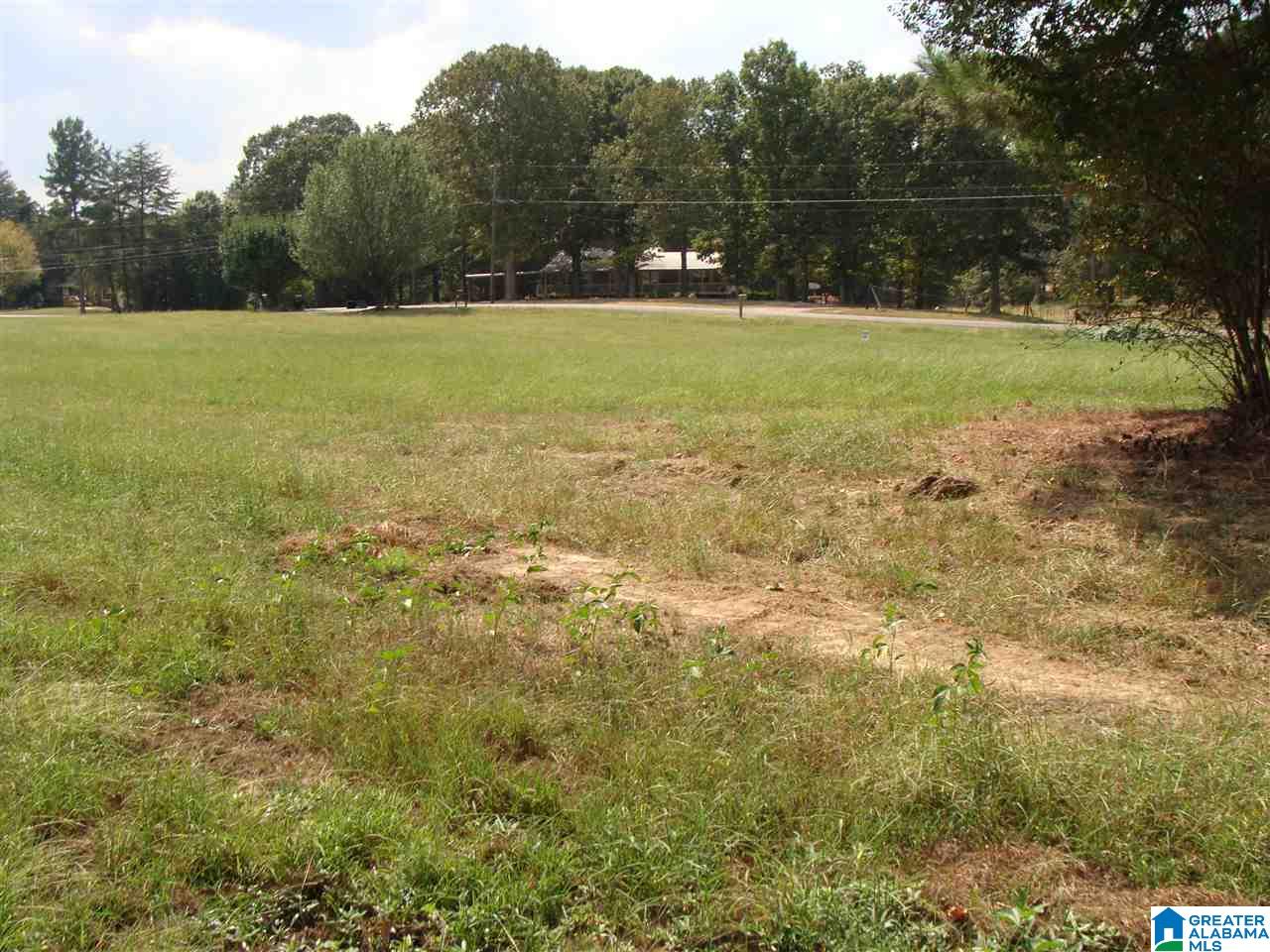 9385 Miller Road, Unit 1 Warrior, AL 35180 - Photo 3 of 5
