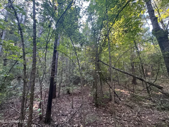 $260,000 | Norman Trail Northwest, Brookhaven, MS 39601