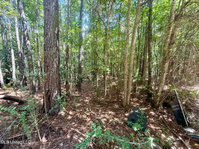 $260,000 | Norman Trail Northwest, Brookhaven, MS 39601