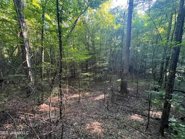 $260,000 | Norman Trail Northwest, Brookhaven, MS 39601