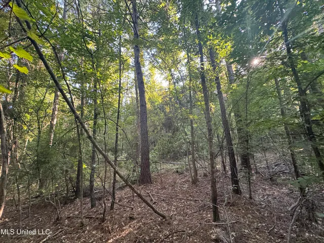 $260,000 | Norman Trail Northwest, Brookhaven, MS 39601