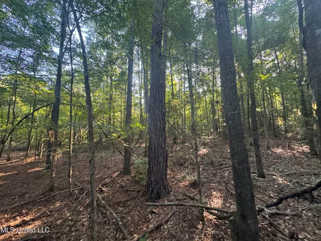 $260,000 | Norman Trail Northwest, Brookhaven, MS 39601