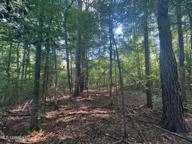 $260,000 | Norman Trail Northwest, Brookhaven, MS 39601