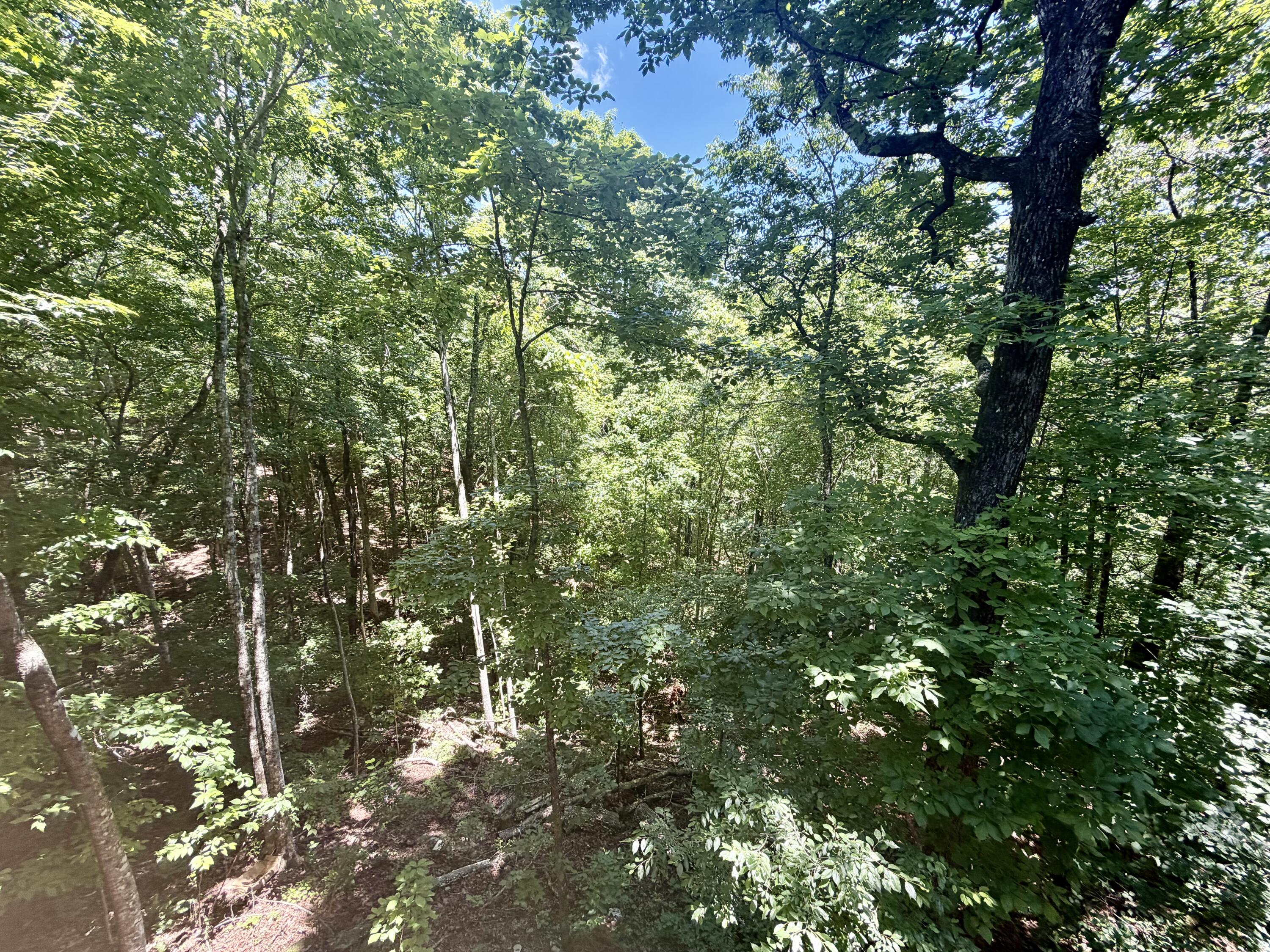 8940 Big Bend Road Signal Mountain, TN 37377 - Photo 63 of 91 IMG_8524