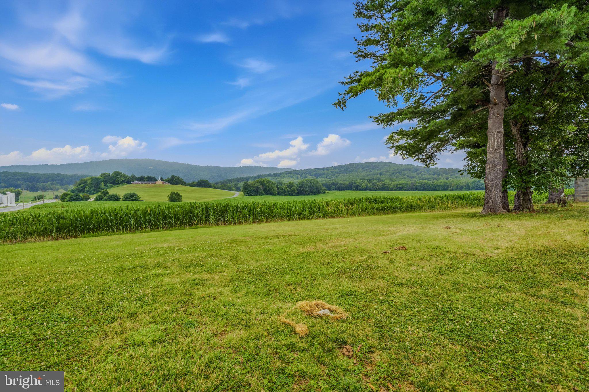 12504 National Pike Clear Spring, MD 21722 - Photo 43 of 68 Backyard