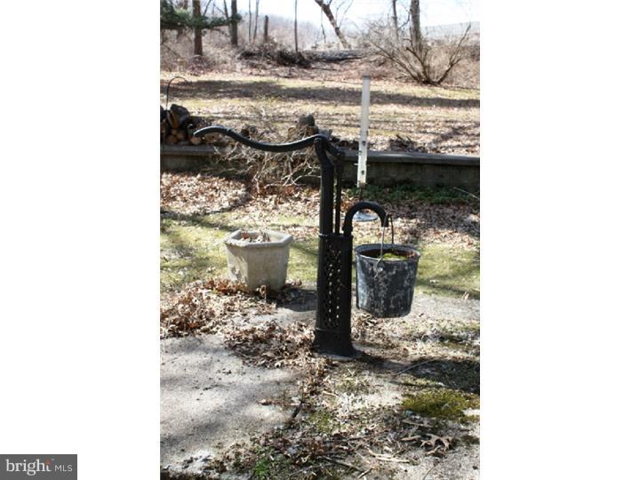 44 Cromby Road Phoenixville, PA 19460 - Photo 21 of 25 Back Yard
