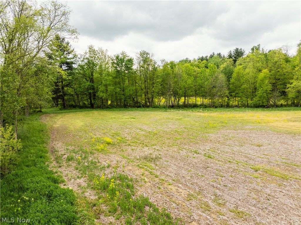 Garver Road Mansfield, OH 44903 - Photo 22 of 48