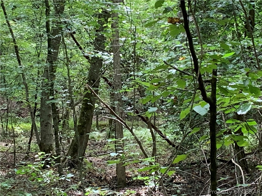 1 Newton Road Newtown, VA 23126 - Photo 7 of 20
