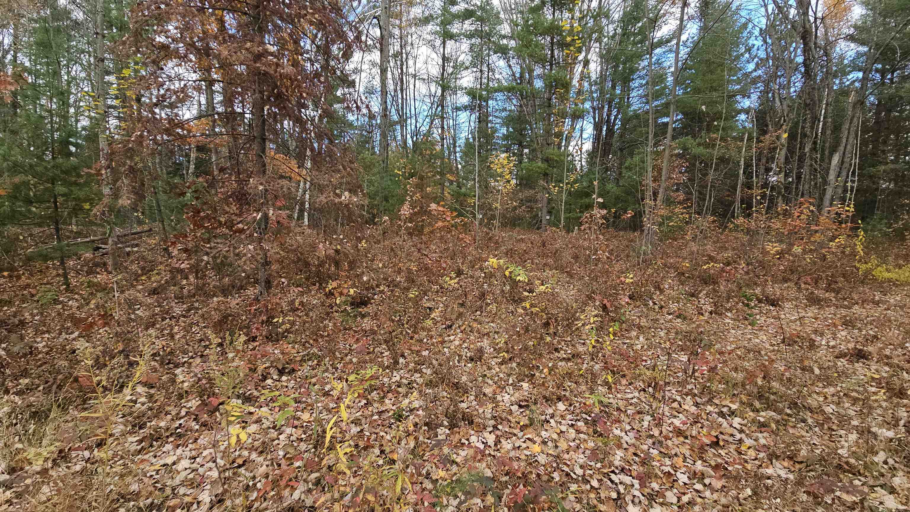 0 South Morrison Road West Branch, MI 48661 - Photo 5 of 9