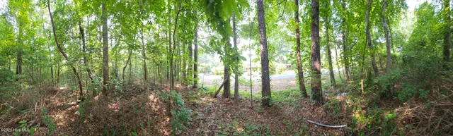 $13,999 | 0 Sr 1184, Chocowinity, NC 27817