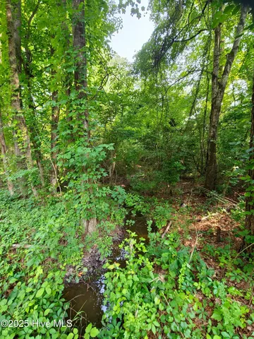 $13,999 | 0 Sr 1184, Chocowinity, NC 27817
