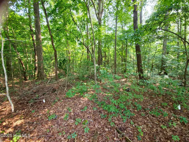 $13,999 | 0 Sr 1184, Chocowinity, NC 27817